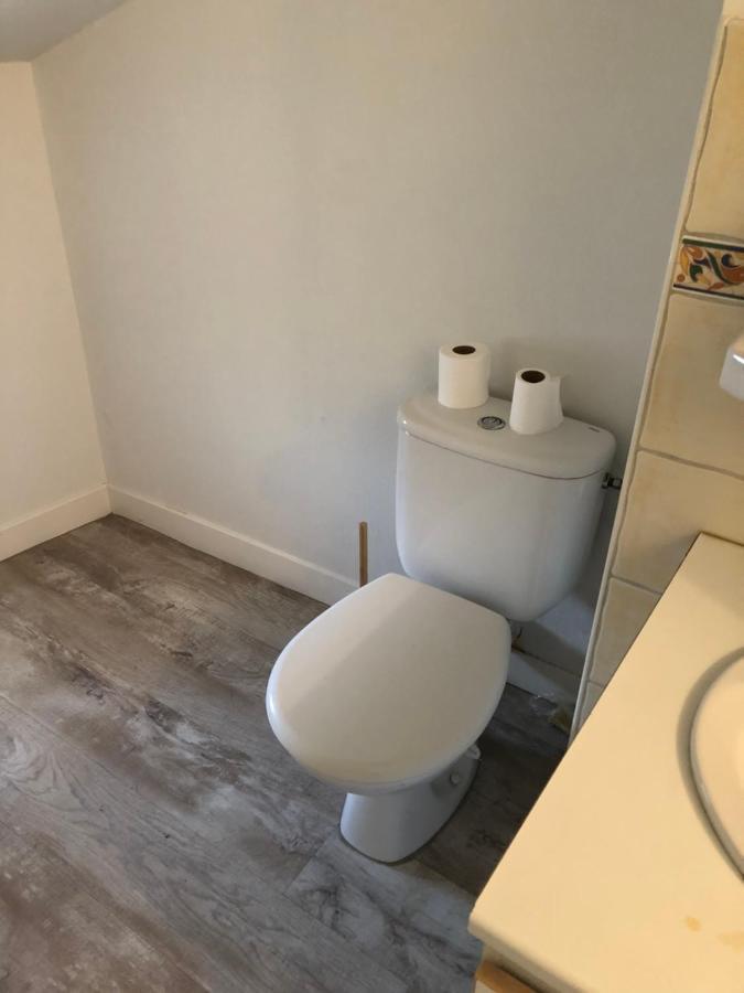 Appartement Cosy Et Lumineux Caussens Ngoại thất bức ảnh